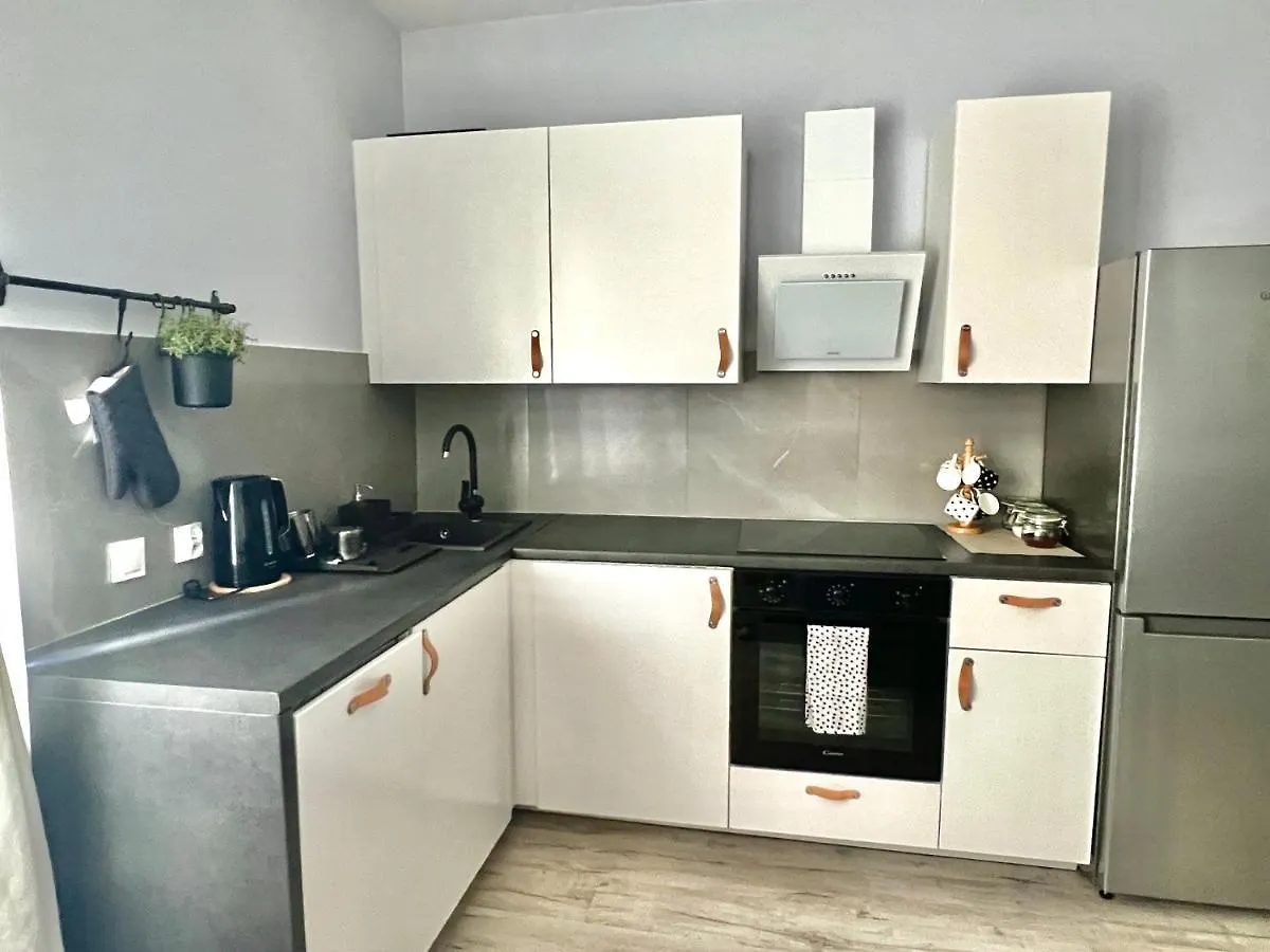 פוזנן Charming Calliera 12 Apartment