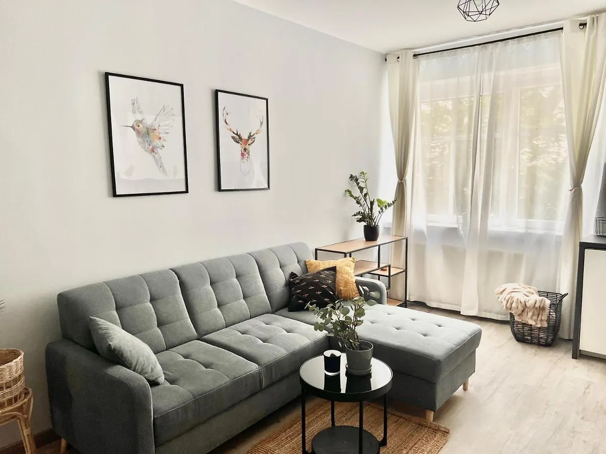 פוזנן Charming Calliera 12 Apartment